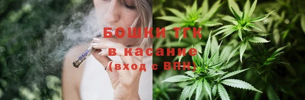 твердый Аркадак