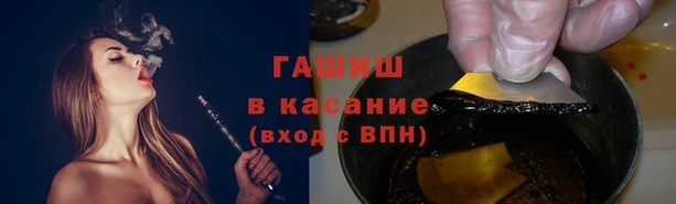 твердый Аркадак