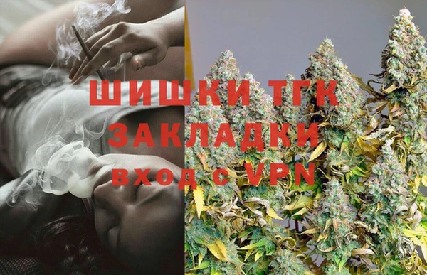 твердый Аркадак